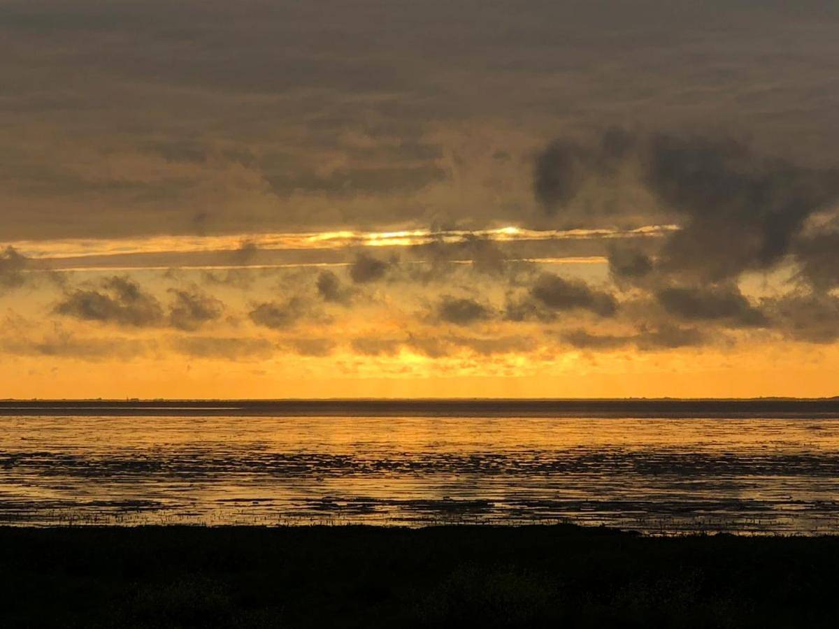 Apartment in Wieringen, Ijsselmeer