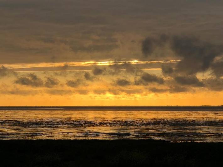 Chambre d’hôte pour 4 personnes, avec terrasse aux Pays-Bas - 4