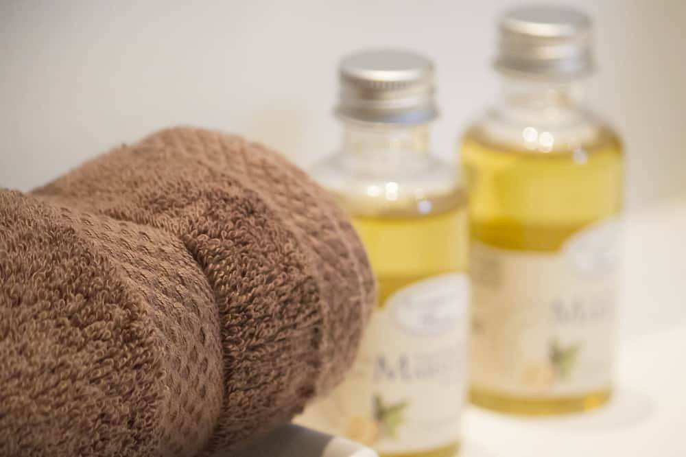 Ganze Wohnung, Der Anhang, T1 voller Charme, ruhig und hell in der Innenstadt in Bordeaux, Bordeaux und Umgebung