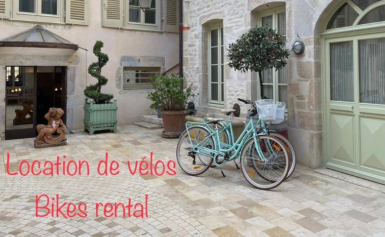 Chambre d’hôte pour 2 personnes, avec vue et terrasse à Beaune - 3