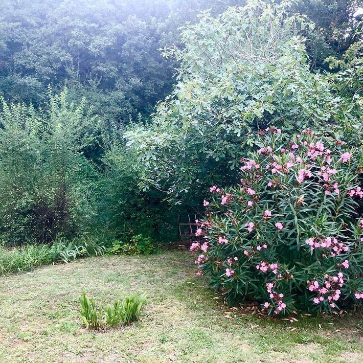 Location de vacances pour 6 personnes, avec piscine ainsi que terrasse et vue à Meyrannes - 4