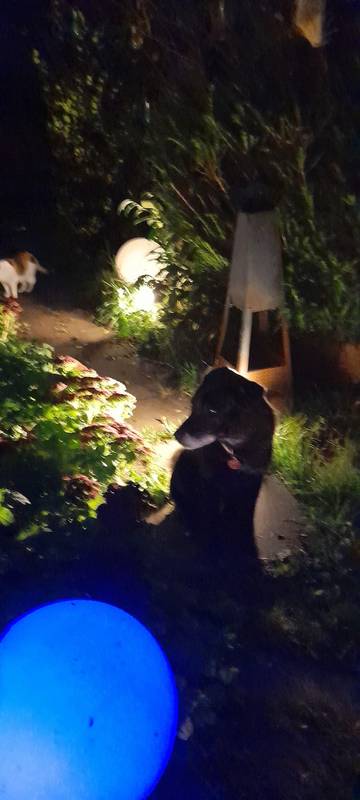 Ferienwohnung für 4 Personen, mit Garten und Balkon, mit Haustier in Blankenheim