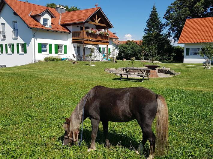 Bauernhof für 2 Personen, mit Balkon/Terrasse und Garten im Allgäu