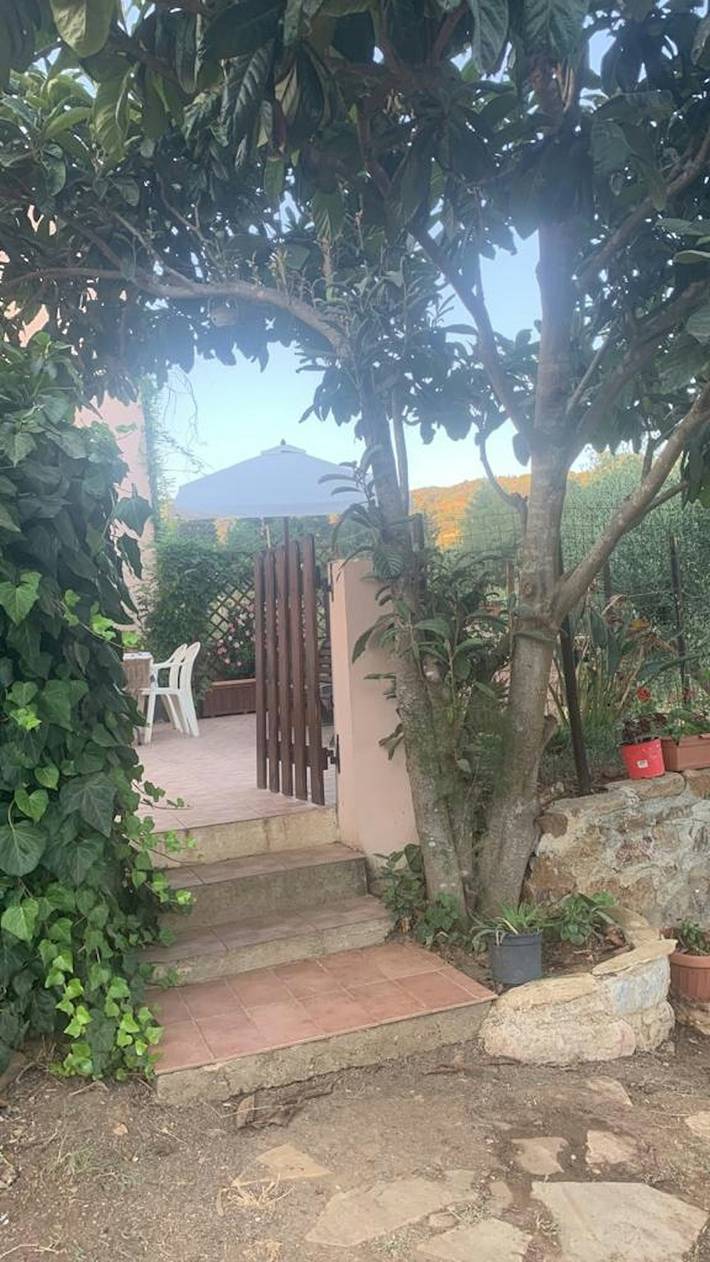 Ferienhaus für 5 Personen, mit Terrasse, mit Haustier - 1