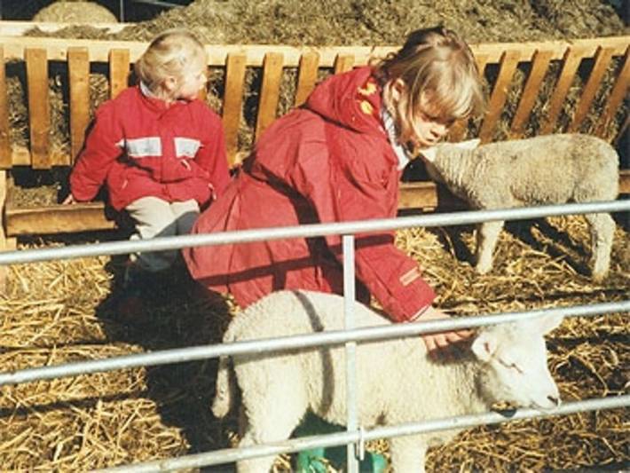 Bauernhof für 4 Personen, mit Garten, mit Haustier in Büsum-Wesselburen - 3