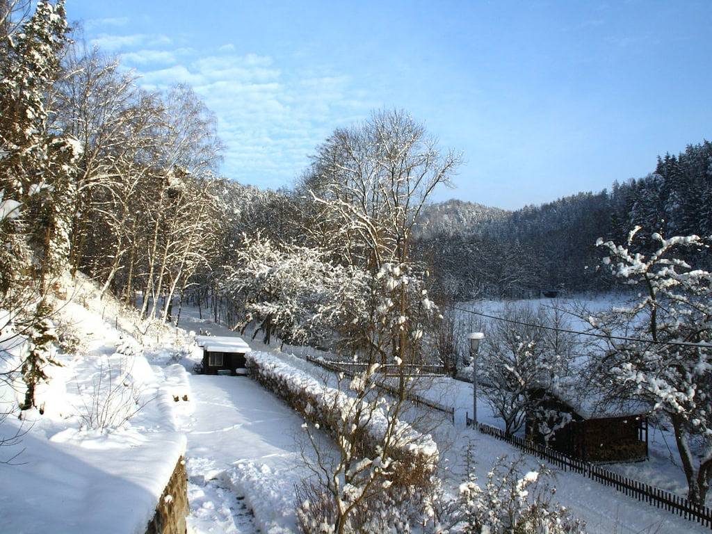 König nahe Bad Schandau in Hohnstein, Elbsandsteingebirge