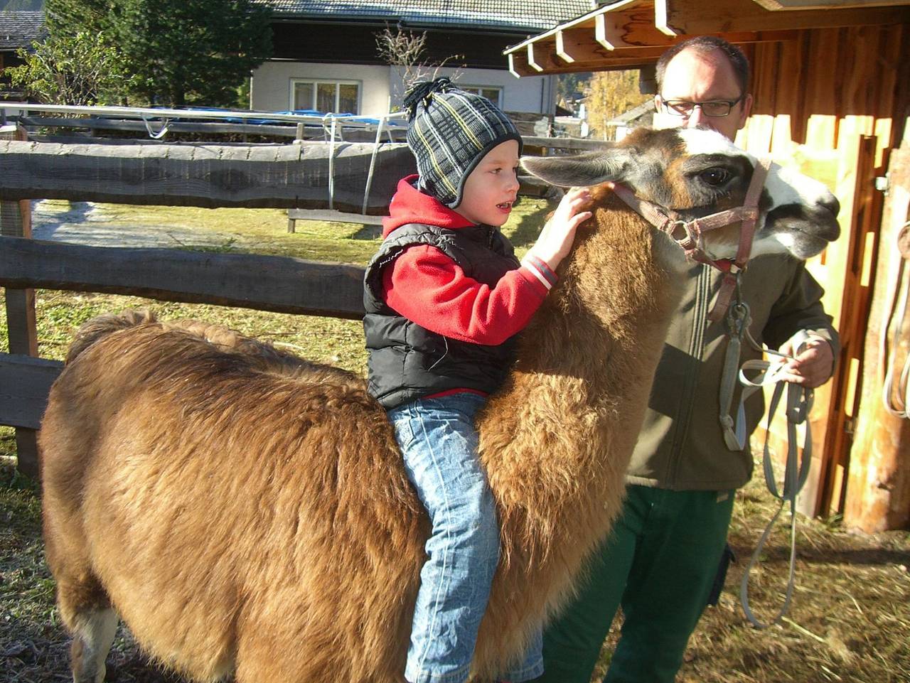 Hotelchen Döllacher Dorfwirtshaus - Doppelzimmer in Großkirchheim, Bezirk Spittal an der Drau