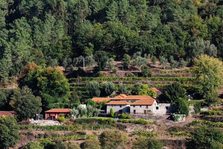 Two-Bedroom Apartment in Olo e Canadelo, Distrito do Porto