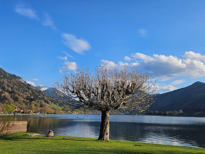 Ferienwohnung für 2 Personen, mit Balkon und Garten am Schliersee