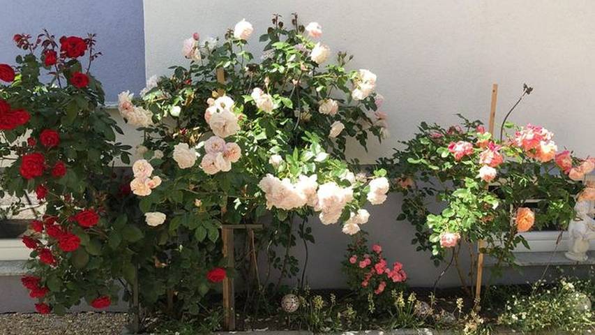 Ferienwohnung für 4 Personen, mit Terrasse im Pitztal - 3