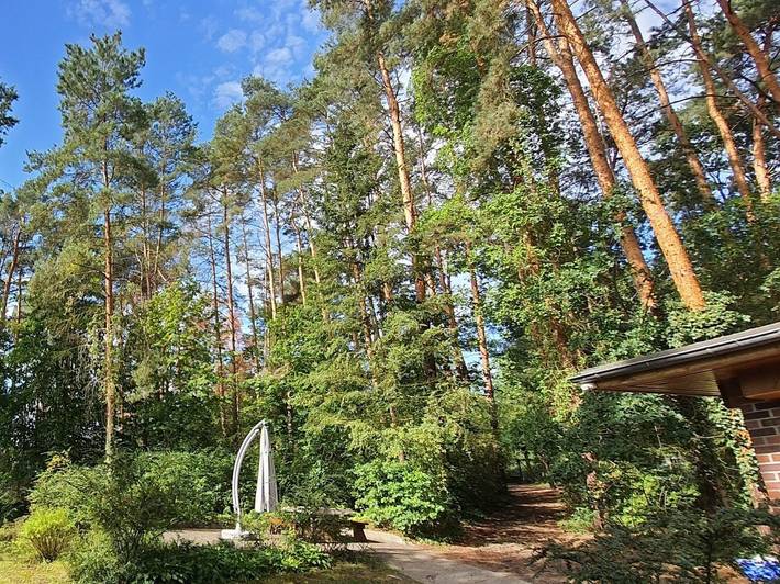 Ferienhaus für 4 Personen, mit Garten in Elster & Umgebung - 3