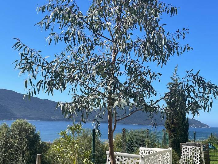 Gîte pour 4 personnes, avec vue et jardin à Appietto - 2