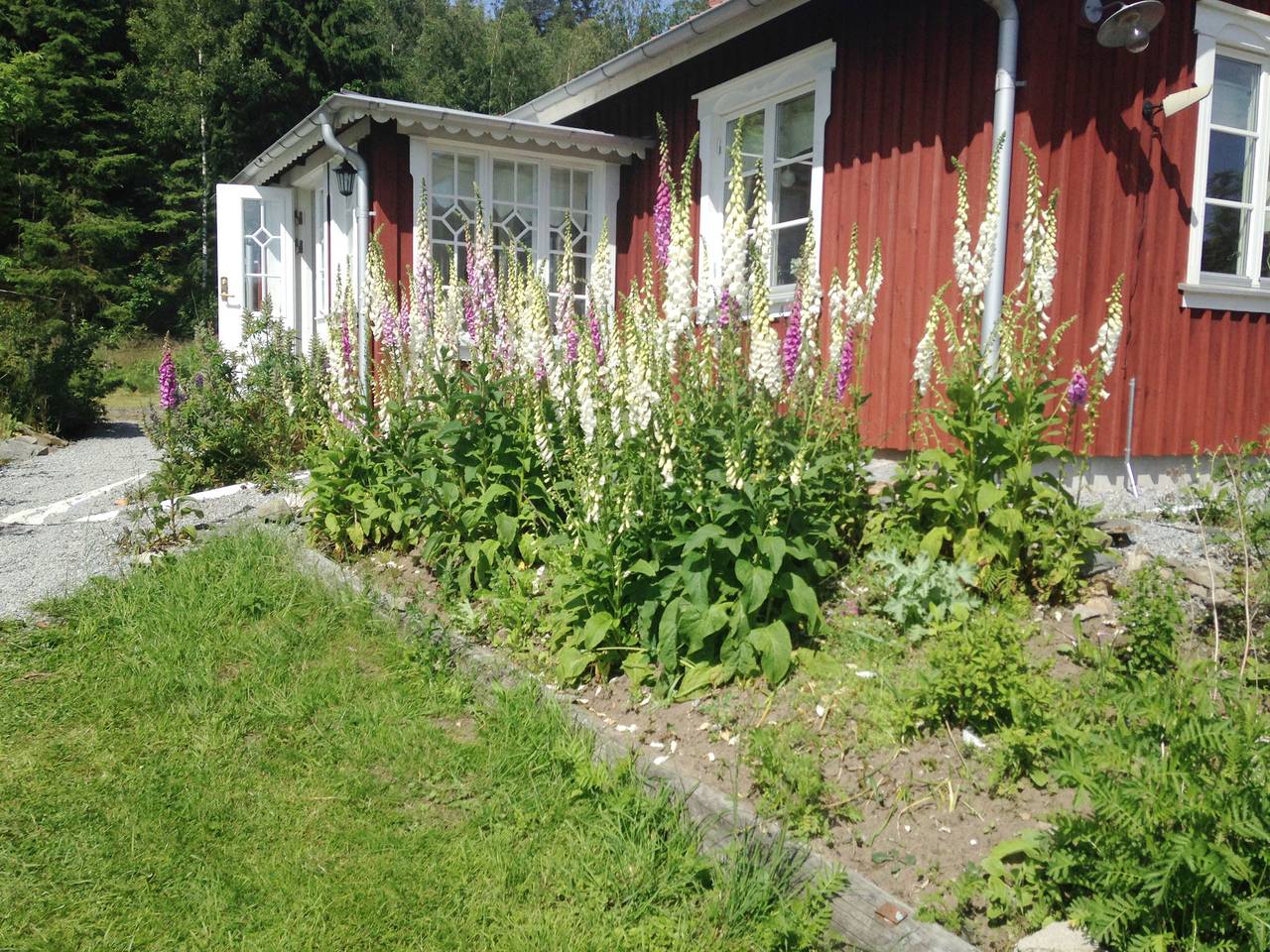 Se09062 in Varekil, Orust