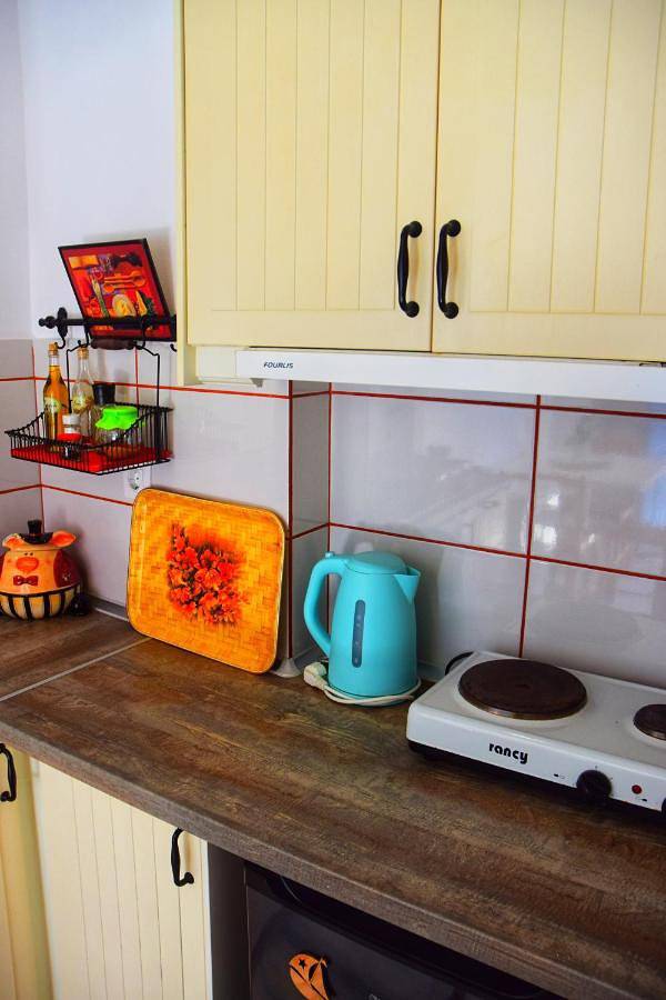 Gîte pour 4 personnes, avec terrasse, animaux acceptés dans Liapádes - 4