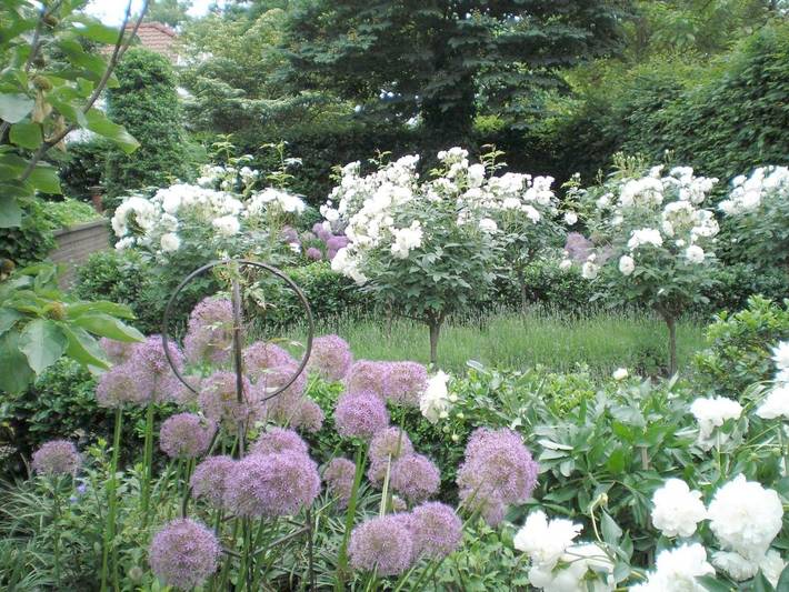 Location de vacances pour 2 personnes, avec jardin et vue à Lanaken - 3