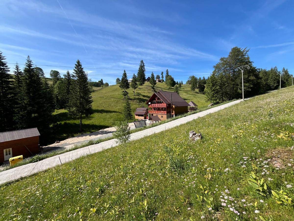 Cabana Sânziana in Alba (Romania)