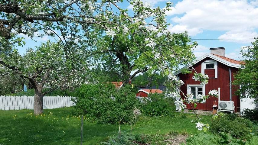 Ferienhaus für 6 Personen, mit Garten - 1