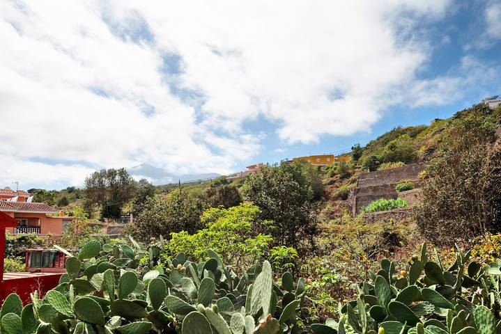 Location de vacances pour 4 personnes à Garachico - 4