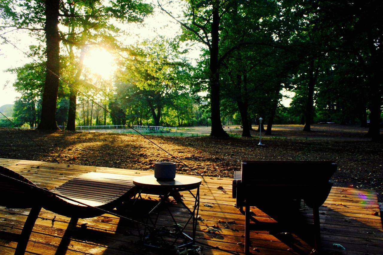 Oak Glamping Relax in Manziana, Lago di Bracciano