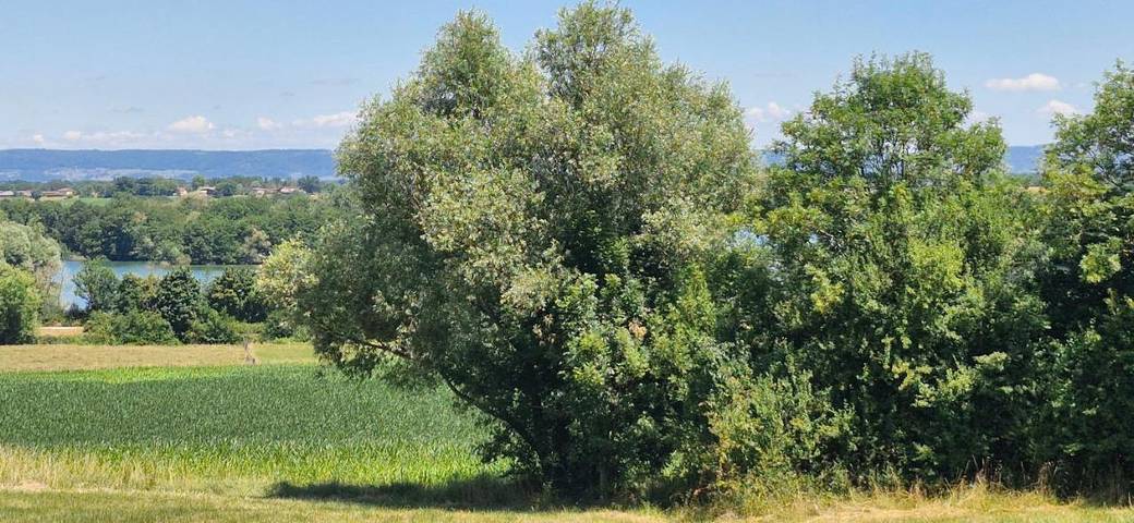 Location de vacances pour 8 personnes, avec vue sur le lac ainsi que vue et jardin, animaux acceptés à Jayat