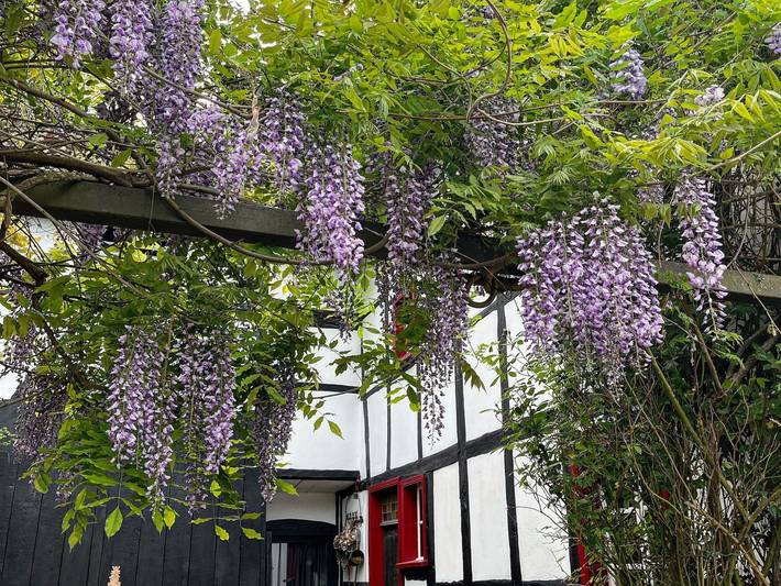 Ferienhaus für 8 Personen, mit Ausblick und Garten sowie Seeblick, kinderfreundlich in Eifel (Nordrhein-Westfalen) - 4
