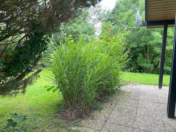 Casa de vacaciones para 4 personas con terraza in Eckwarderhörne, Butjadingen