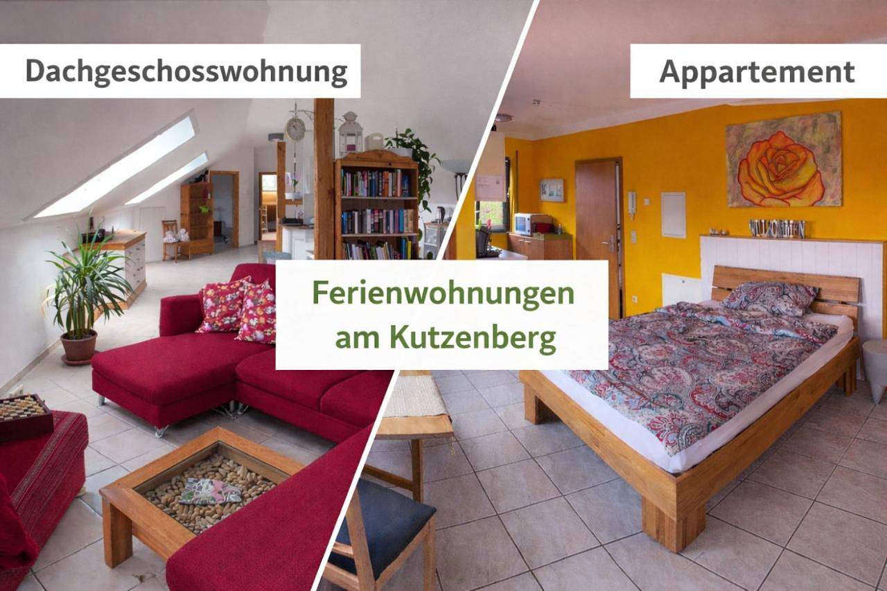 Ganze Wohnung, Apartment in Meckenheim, Rhein-Sieg-Kreis