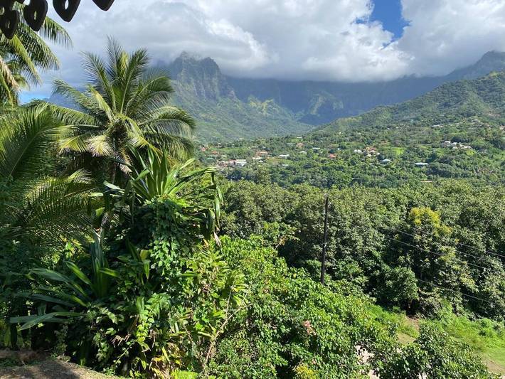 Alojamiento y desayuno para 2 personas, con vistas y jardín - 1