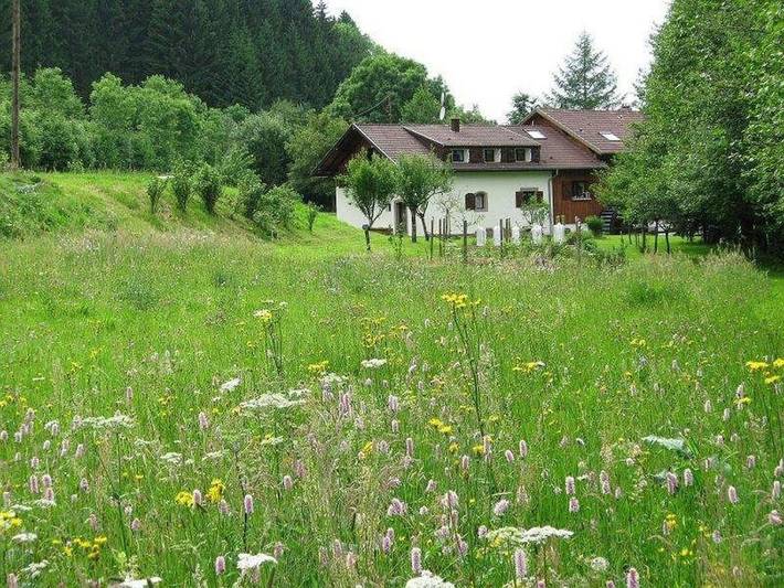 Location de vacances pour 4 personnes, avec Balcon et Terrasse ainsi que Jardin et Vue à Lubine