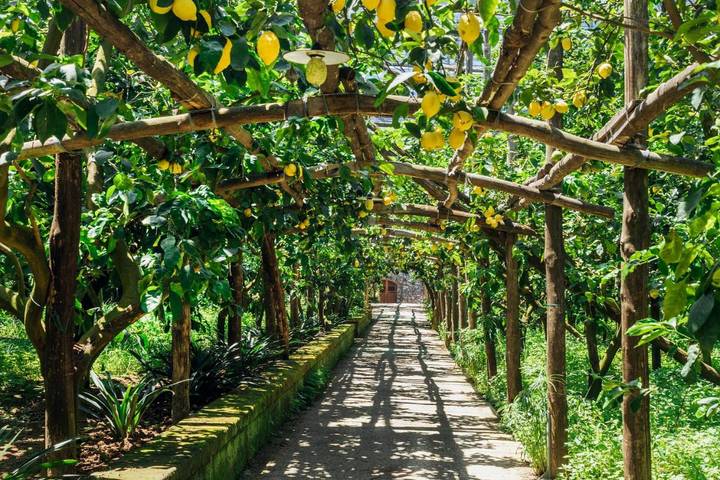 Chalet per 2 persone, con Terrazza e Giardino in Campania
