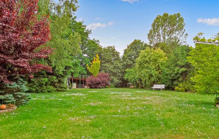 Ferienhaus für 2 Personen, mit Terrasse und Sauna in Mecklenburgische Seenplatte - 3