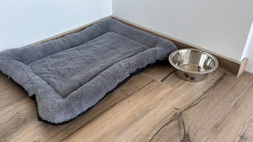 Villa pour 2 personnes, avec jardin et vue, animaux acceptés à Spa - 2