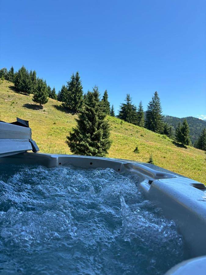 Willa dla 2 osób, z ogród i taras oraz jacuzzi w Karpaty (Rumunia)