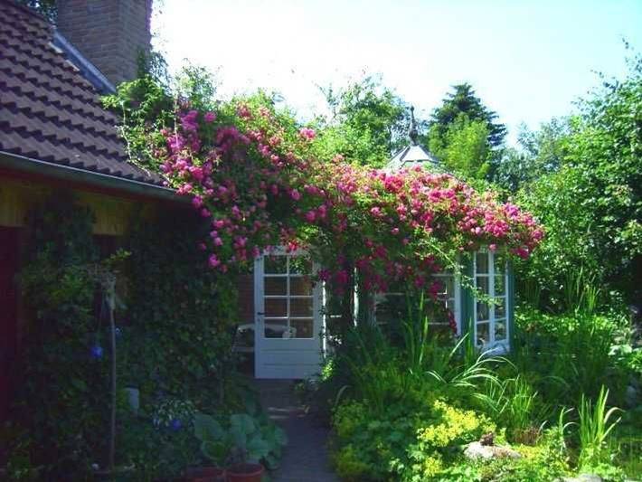 Ganze Ferienwohnung, Diena: FeWo mit liebevoller Ausstattung und zwei Terrassen - Ferienwohnung Kristan in Tarp, Grünes Binnenland