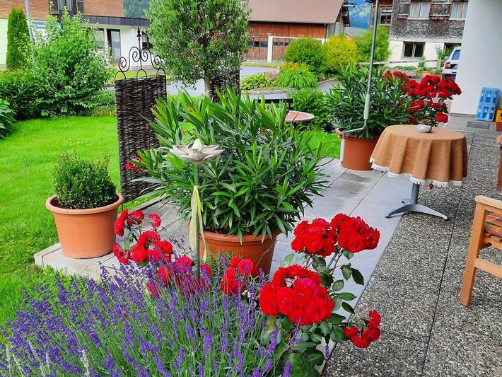 Ferienwohnung für 2 Personen, mit Ausblick und Balkon sowie Garten in Schoppernau - 3