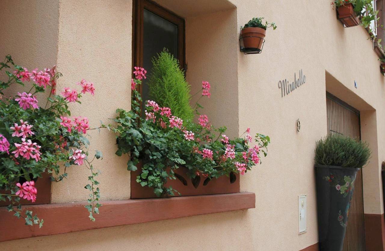 Mirabelle Bed & Breakfast in Ribeauvillé, Parc naturel régional des Ballons des Vosges