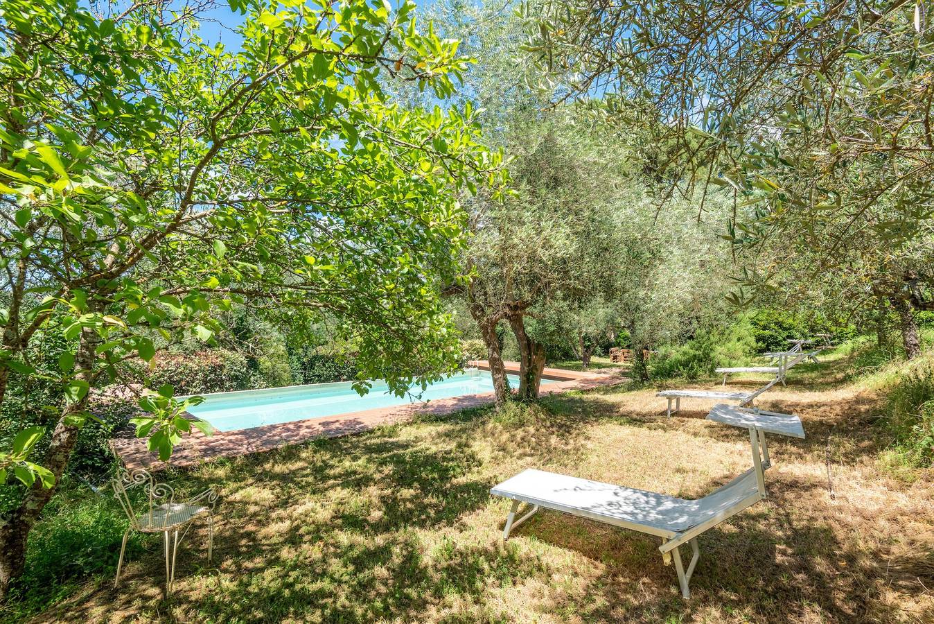 Geheel appartement, Appartement 'Nido Blu Loft' met gedeeld zwembad, privétuin en wifi in Siena, Provincie Siena