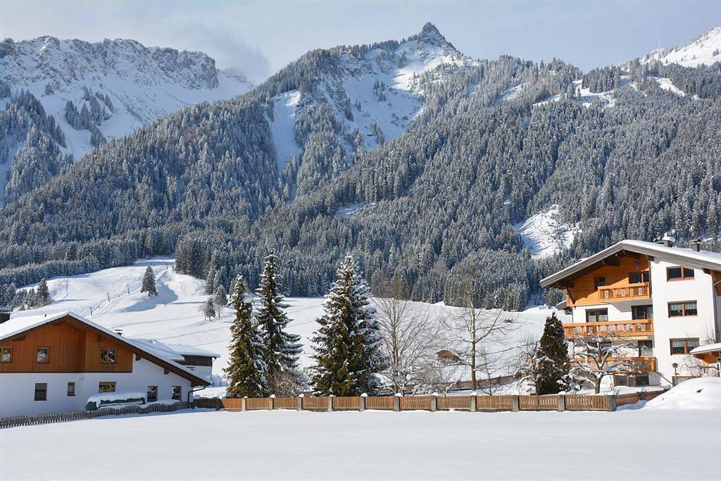 Entire holiday apartment, Ferienwohnung Dreer in Höfen, Außerfern