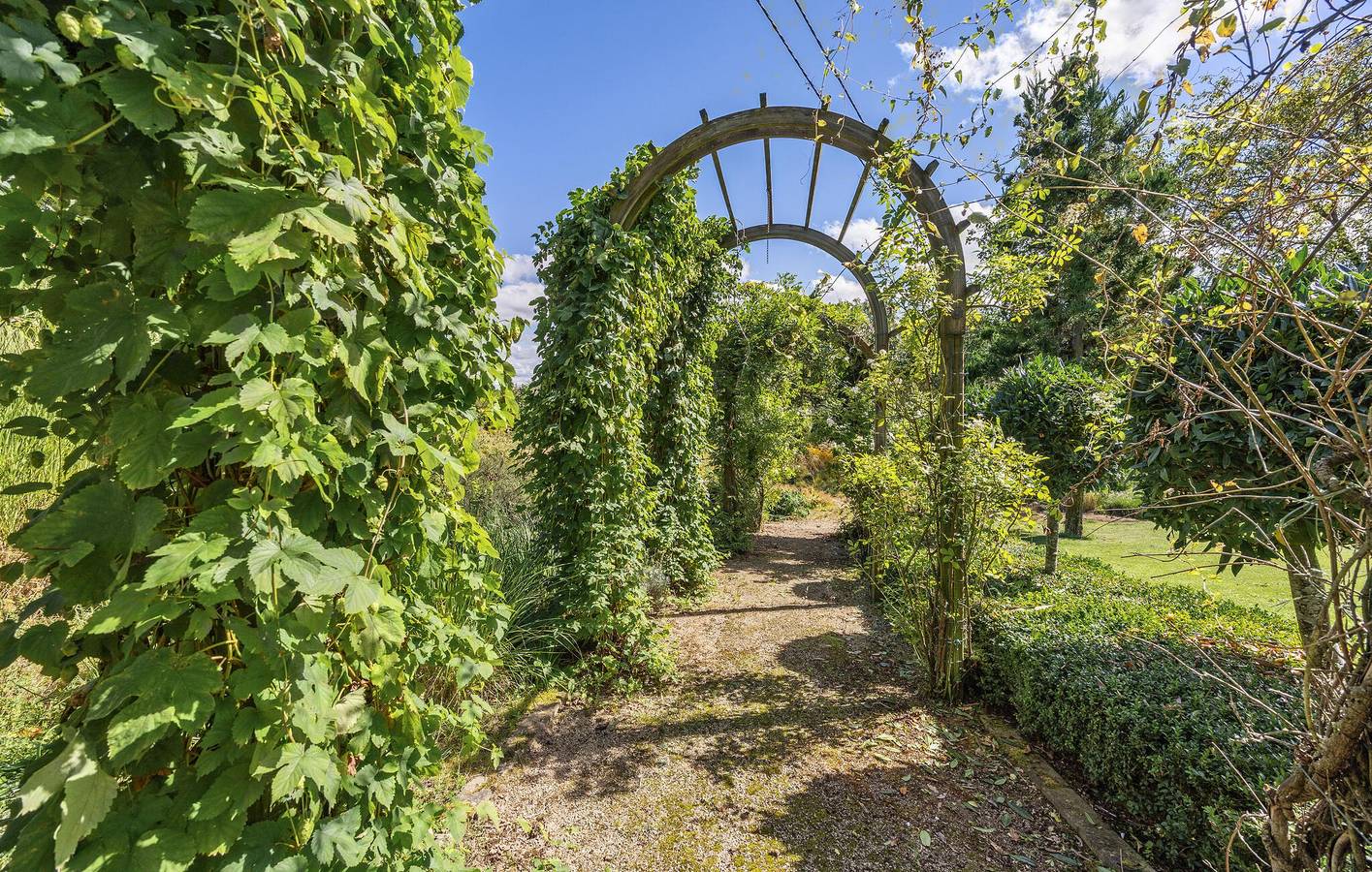 Vakantiehuis voor 8 personen met terras, foto 11