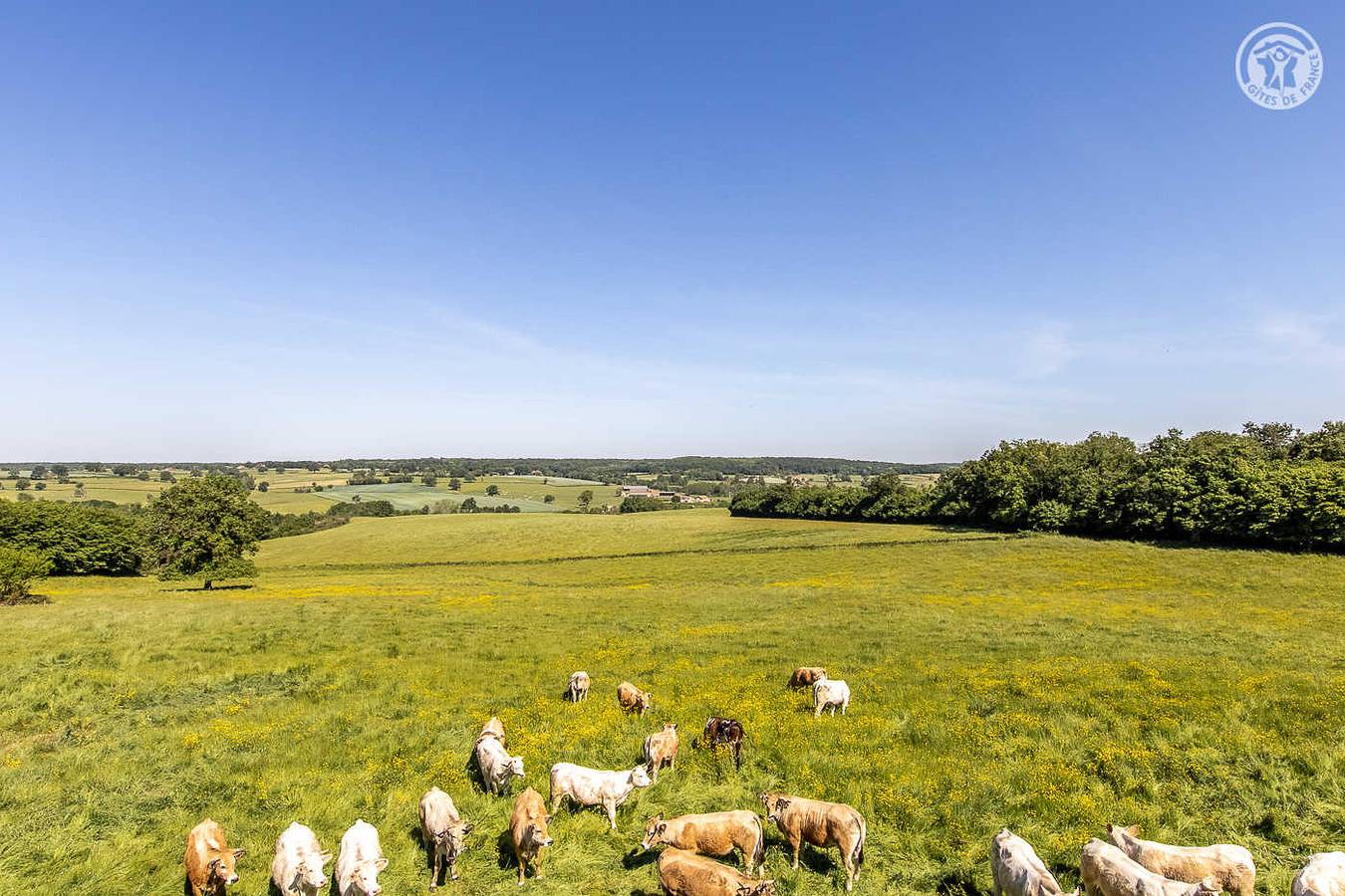 La Grande Bruyère in Gilly-sur-Loire, Région de Charolles