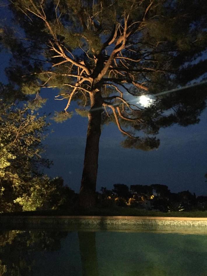 Villa pour 10 personnes, avec vue ainsi que piscine et jardin, animaux acceptés à Menton - 3