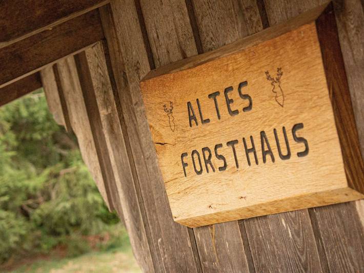 Ferienwohnung für 5 Personen, mit Terrasse und Garten in Elbingerode - 2