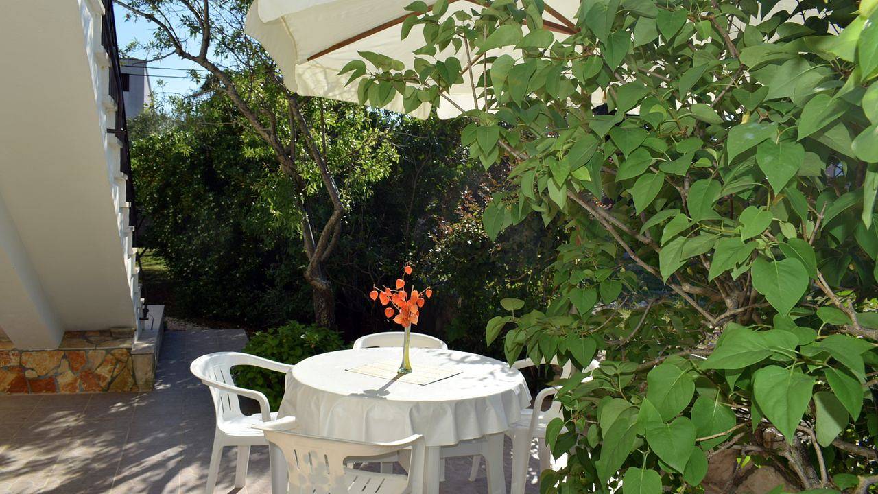 Ganze Ferienwohnung, Ferienwohnung für 3 Personen (31 m²) in Ugljan in Ugljan, Insel Ugljan