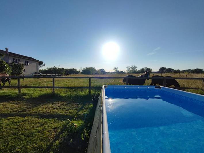 Gîte pour 4 personnes, avec jardin ainsi que piscine et vue, animaux acceptés à Saint-Loubès - 4