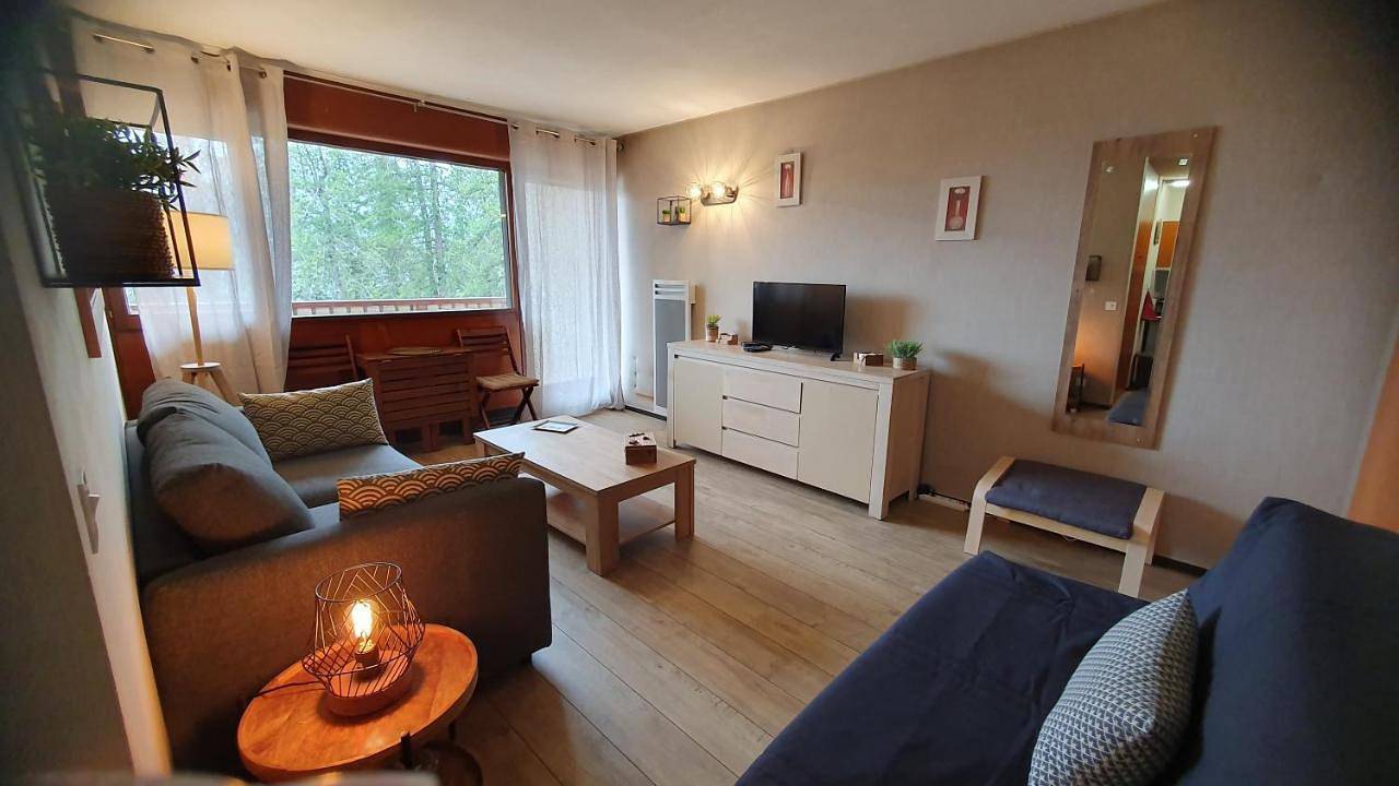 Appartement entier, Studio Centre Et Pied Des Pistes in Péone, Région de Nice