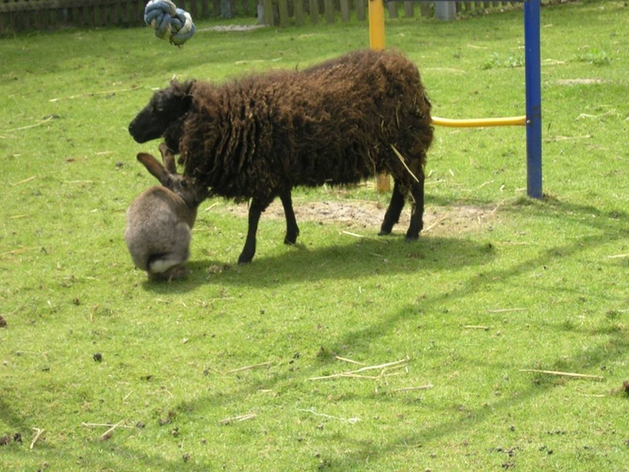 Bild 1
