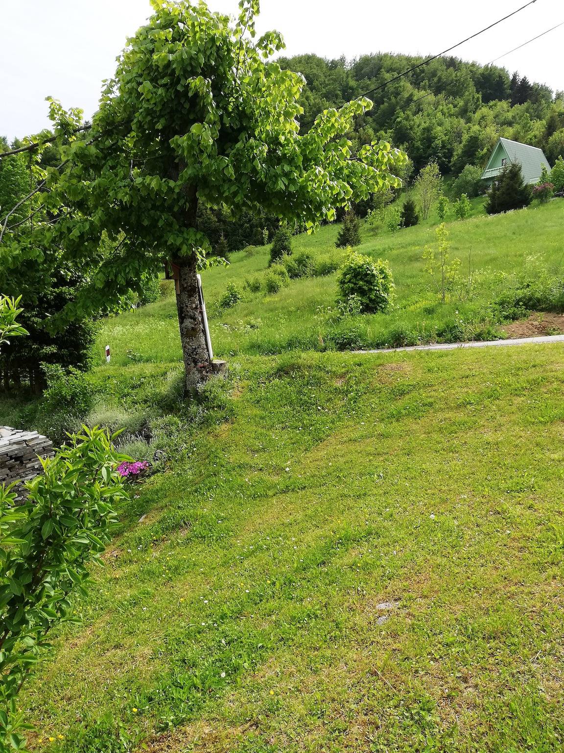 Holiday house with a parking space Brestova Draga, Gorski kotar - 18374 in Mrkopalj, Primorje-Gorski Kotar