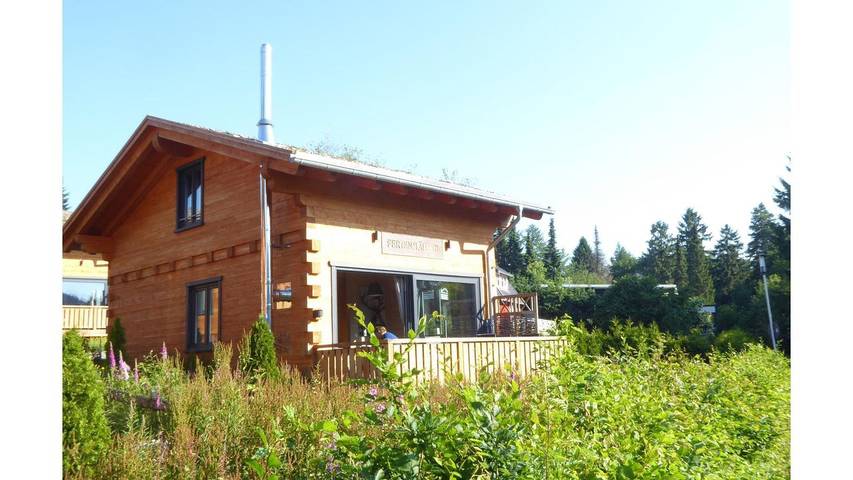 Chalet für 5 Personen, mit Terrasse und Sauna in Hahnenklee - 2