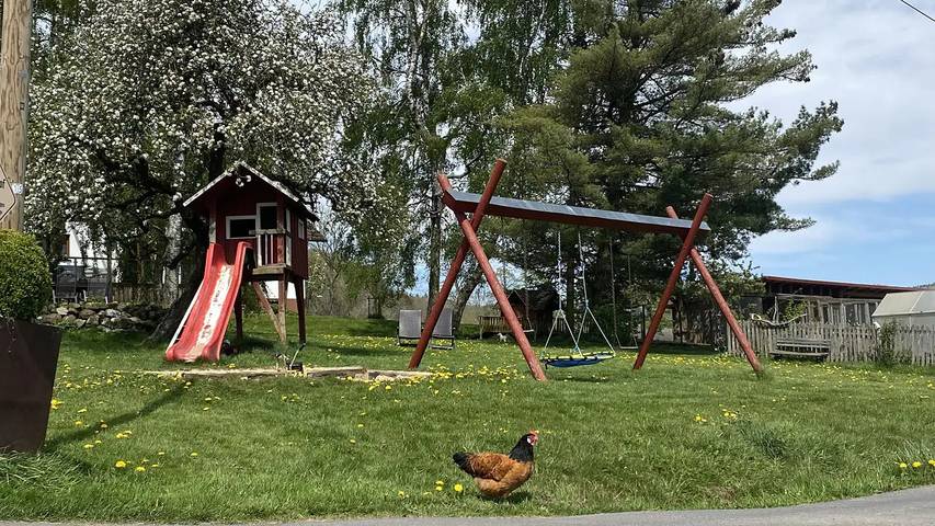 Ferienwohnung für 3 Personen, mit Garten in Rhön-Hessen - 4