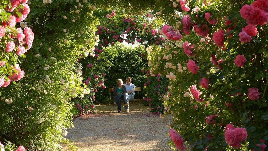Ferienwohnung für 2 Personen, mit Garten in Deutsche Weinstraße - 4